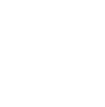 Item 1