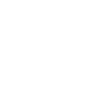 Item 1