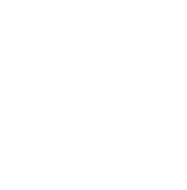 Item 1