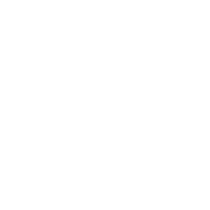 Item 1
